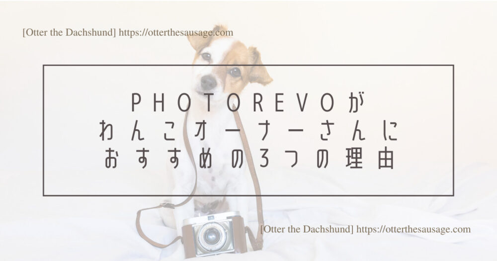 Blog Header image_犬と旅行_犬連れ旅行_PhotoRevo_フォトレボ_PhotoRevo(フォトレボ)がわんこオーナーさんにおすすめの3つの理由
